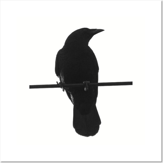 crow on a wire Wall Art by Electric Mermaid